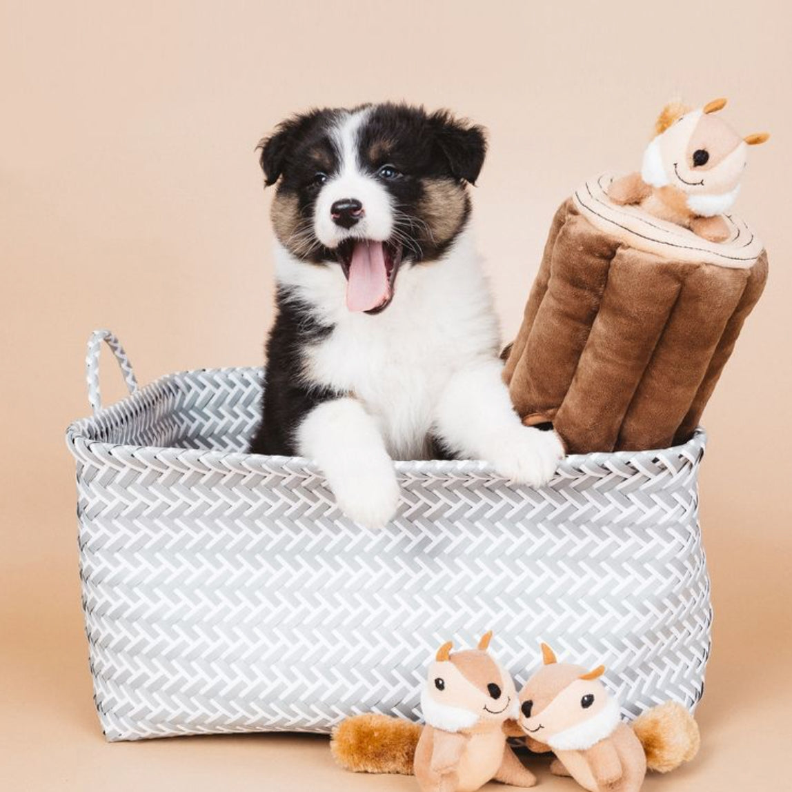 A black, white, and tan puppy sits in a gray and white chevron-patterned storage basket, with a brown plush blanket shaped like a log and two small plush squirrel toys beside it on a warm beige background.