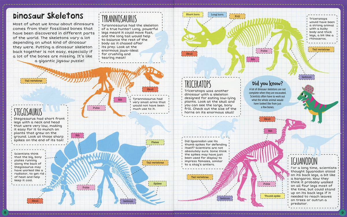 Educational poster about dinosaur skeletons with colorful illustrations and text.
