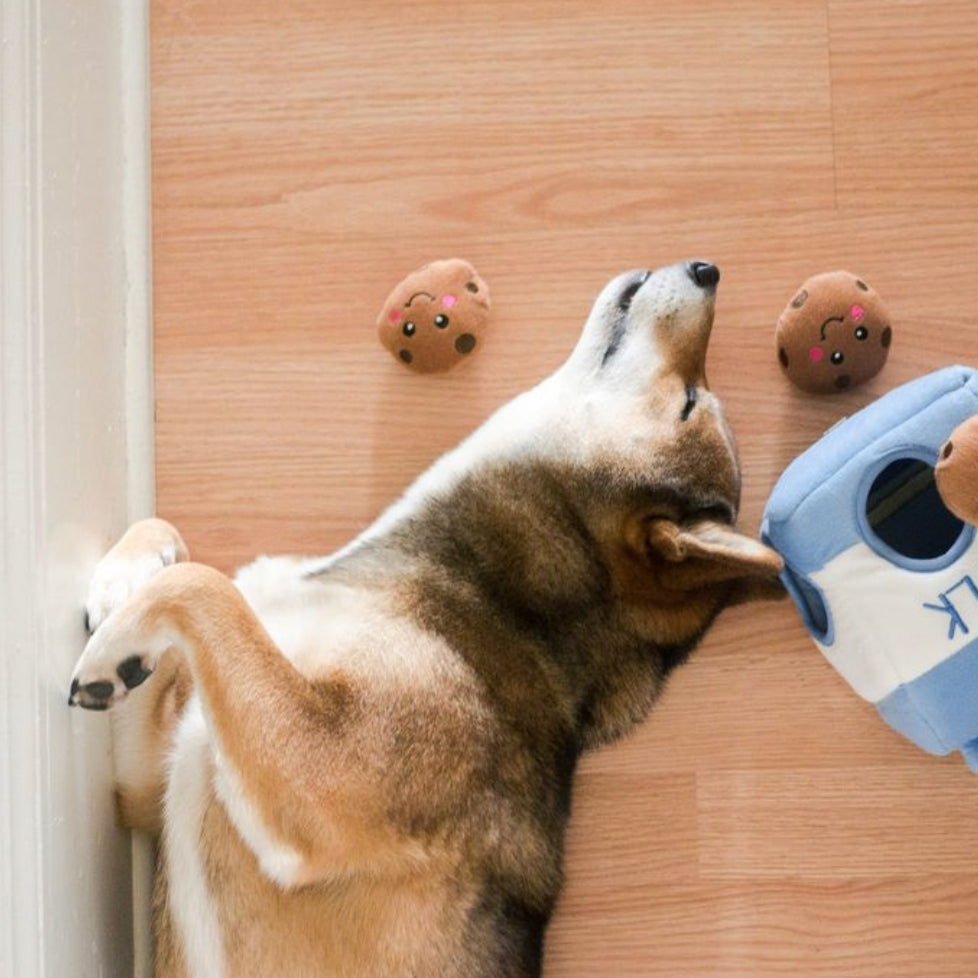 A dog lies on a light wood floor next to a blue and white plush toy shaped like a milk carton with a cookie character on top. Two small plush cookie toys are scattered nearby.