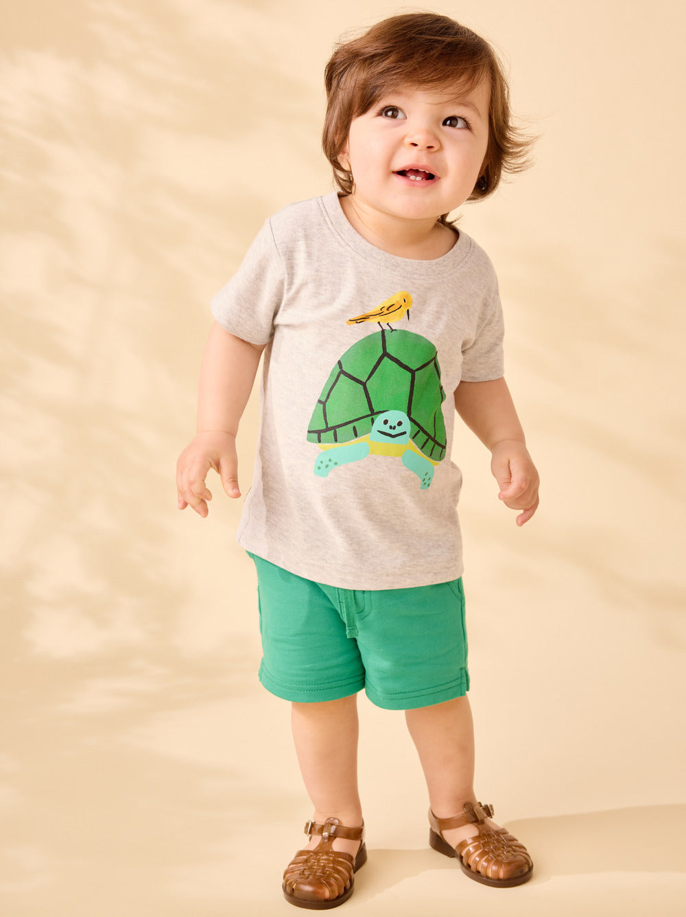 Child wearing a t-shirt with a turtle design on a beige background