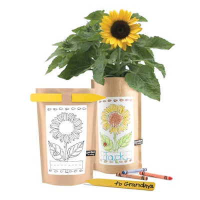Kids' Garden in a Bag - Sunflower by Potting Shed Creations