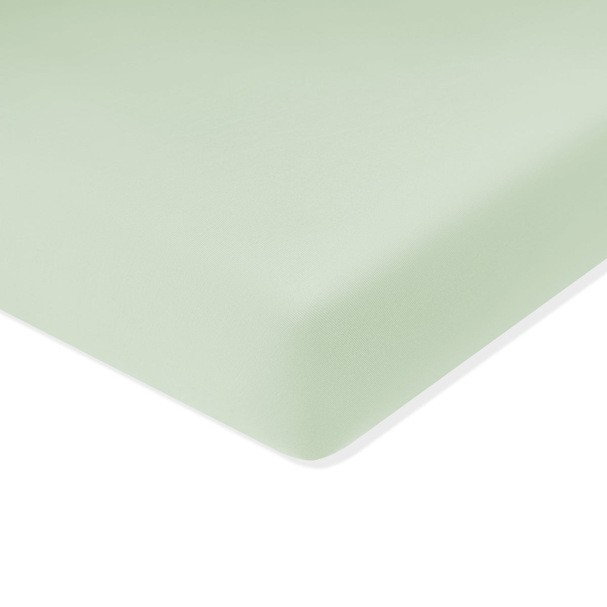 Solid light green color swatch on a white background