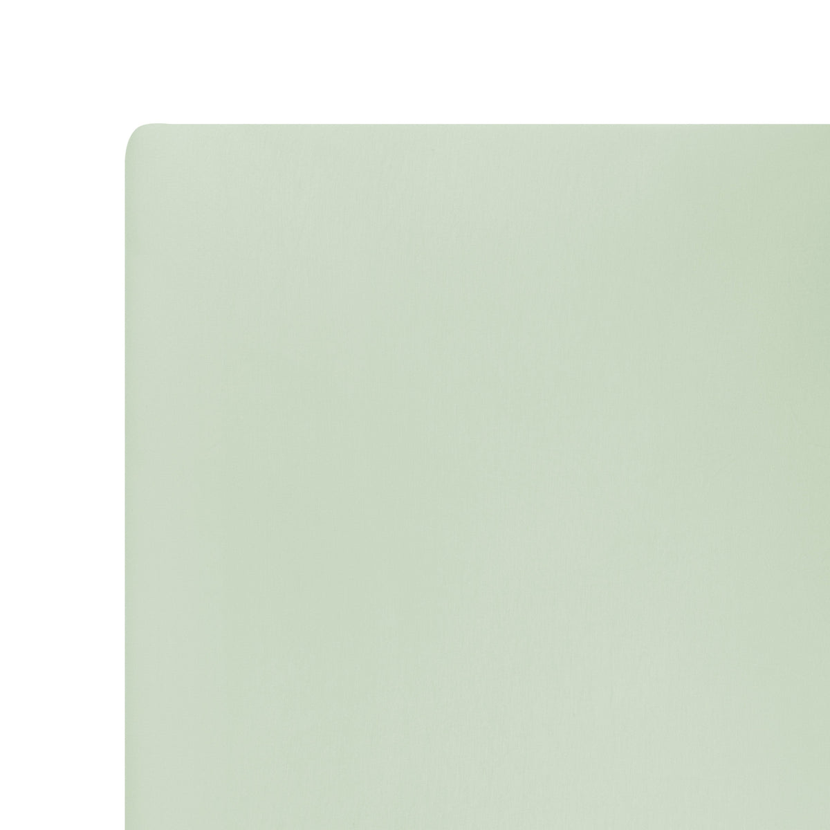 Solid light green color swatch