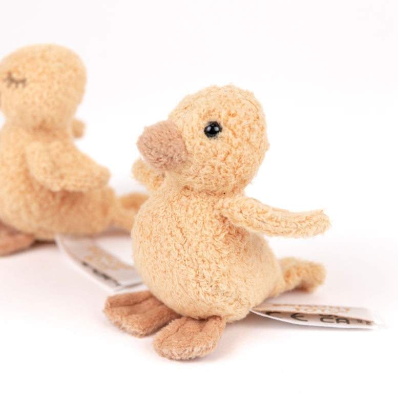 Two plush duck toys on a white background