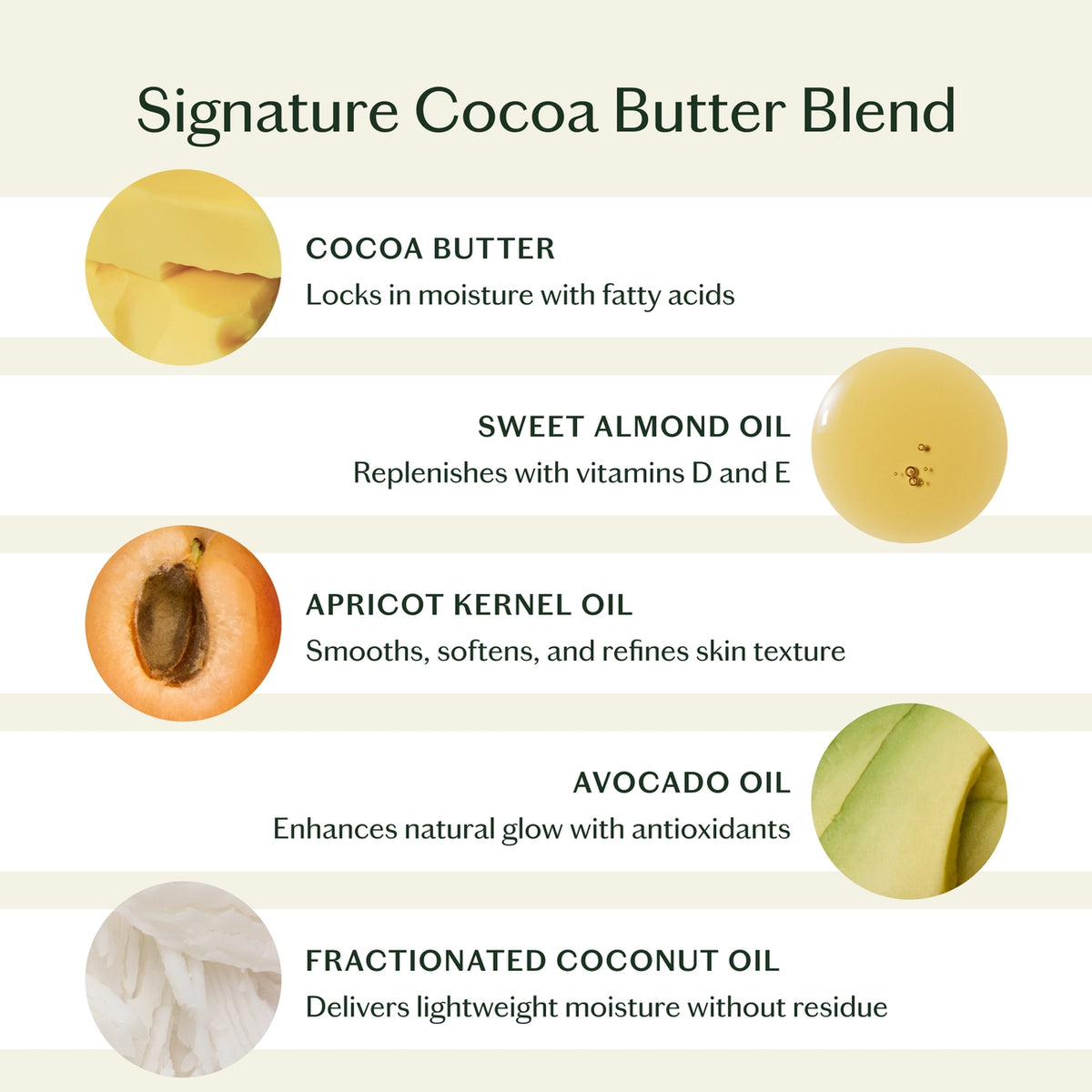 Infographic of a signature cocoa butter blend with images and descriptions of each ingredient.