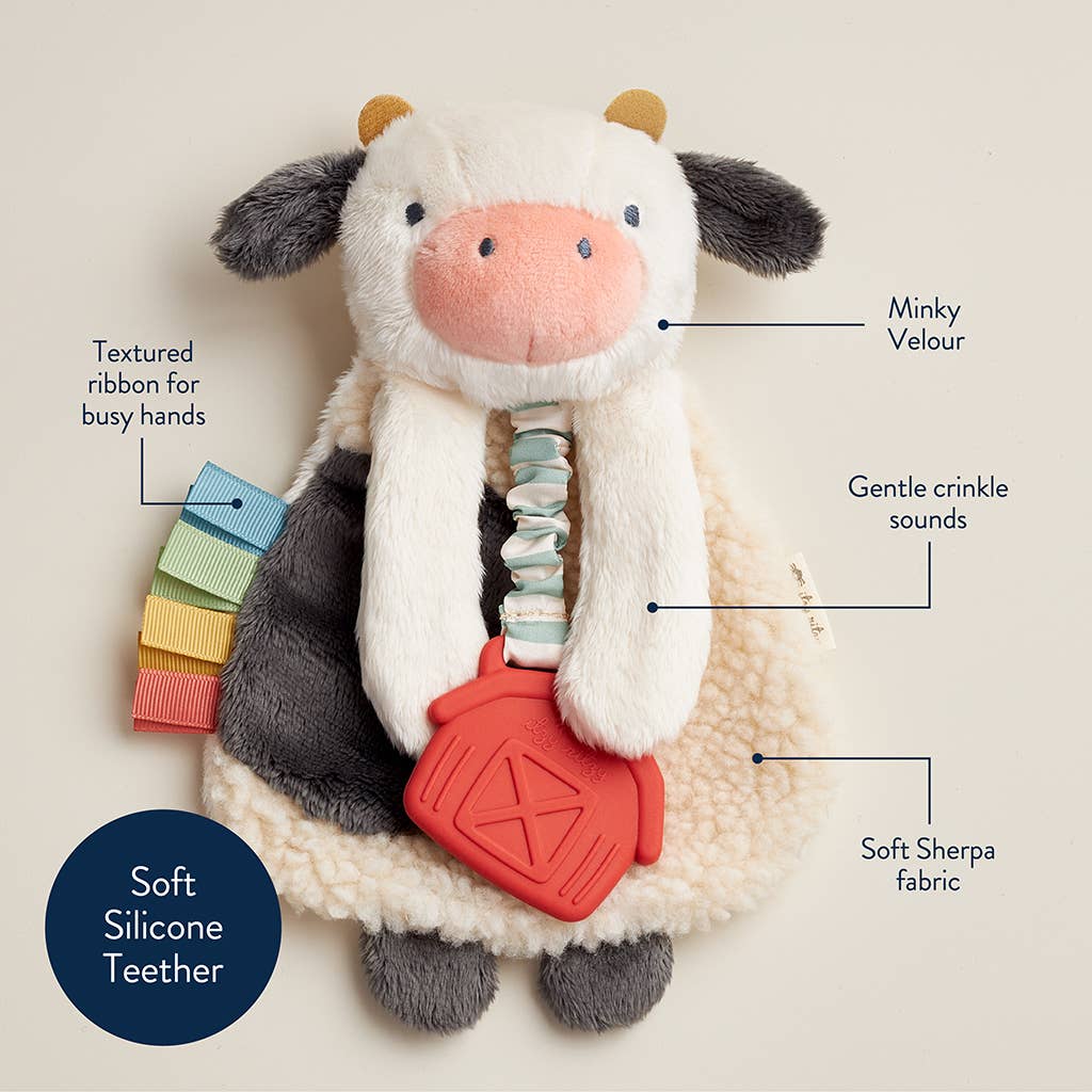 Stuffed cow toy with features labeled on a light background