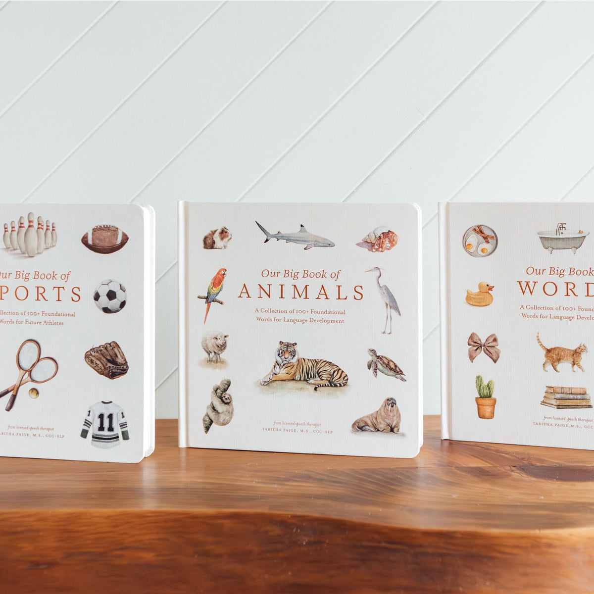 Three books titled 'Big Book of Sports', 'Big Book of Animals', and 'Big Book of Words' on a wooden surface with a white paneled wall background.
