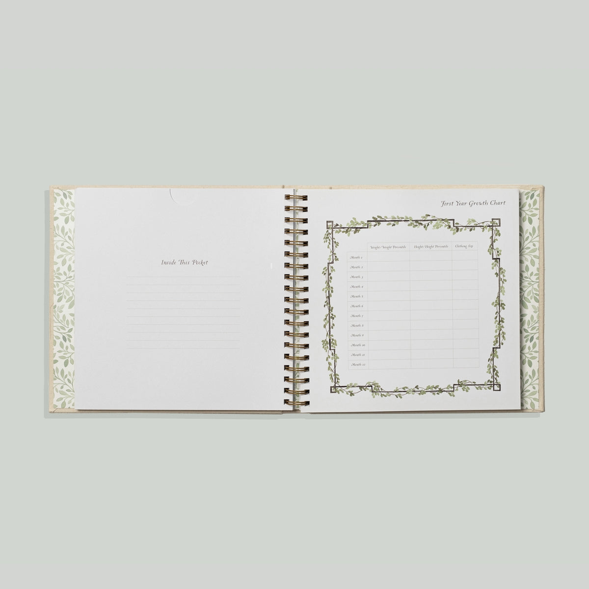 Open book with decorative pages on a light gray background