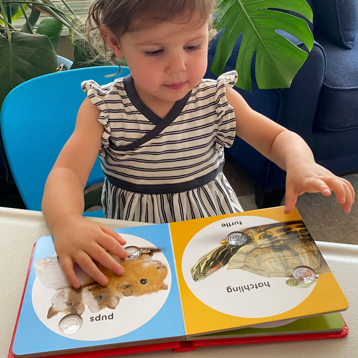 Child interacting with a book about animals, sitting at a table with plants in the background.