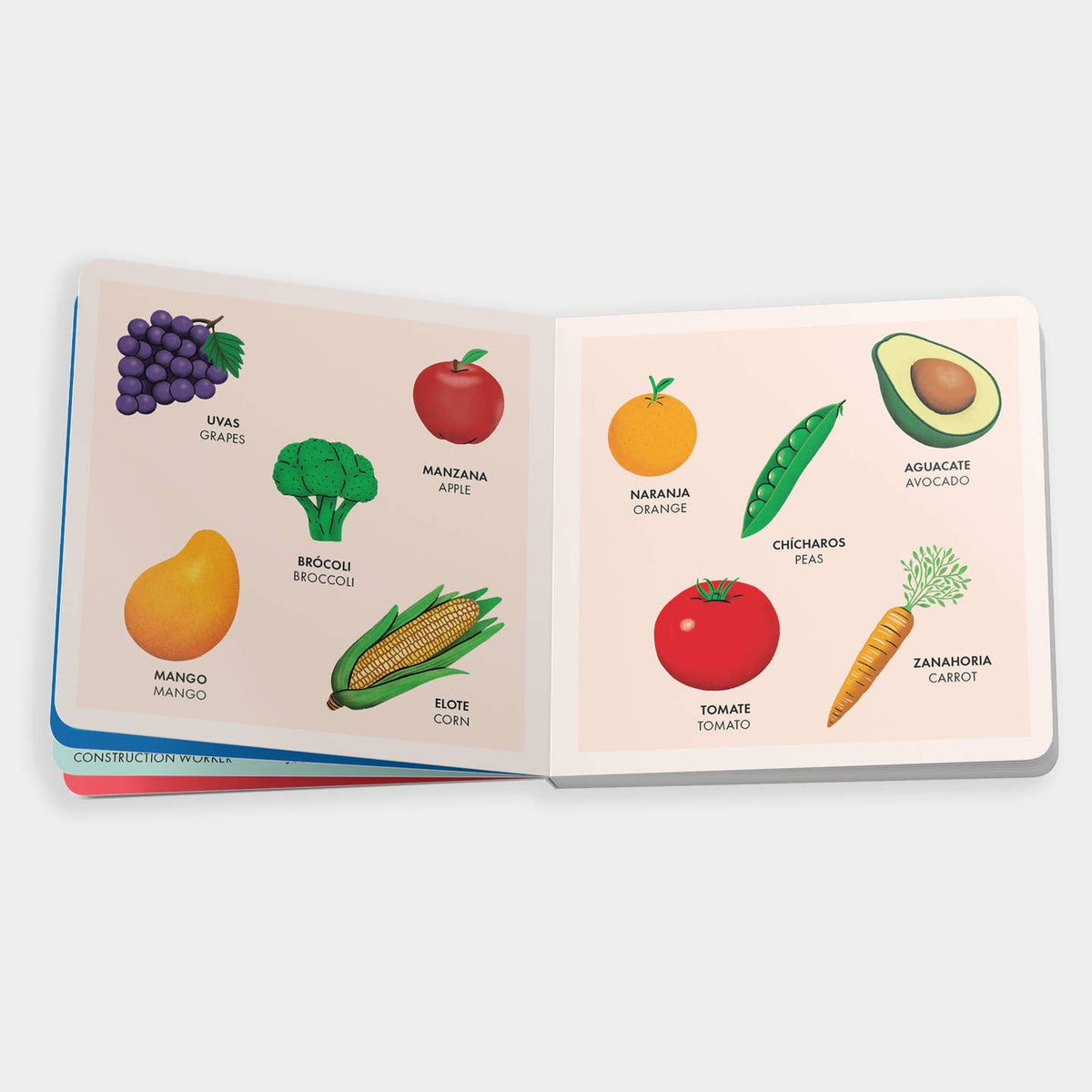 Open book showing illustrations of fruits and vegetables with labels on a white background