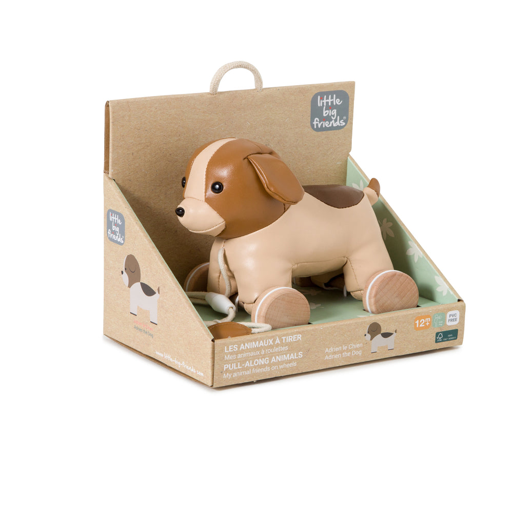 Toy dog in a cardboard box with 'Little Dog' branding on a white background