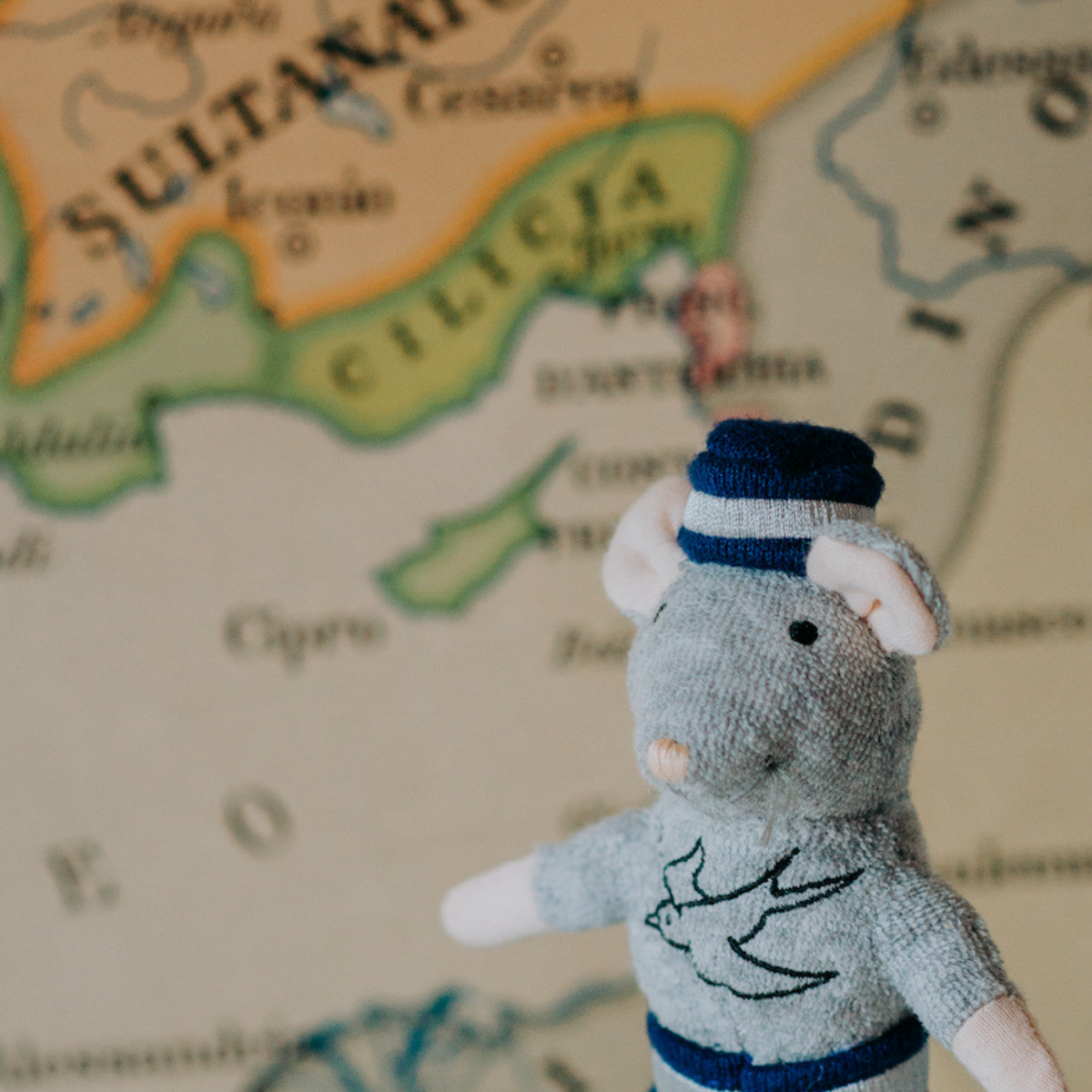 Stuffed toy mouse in a sweater with a map in the background
