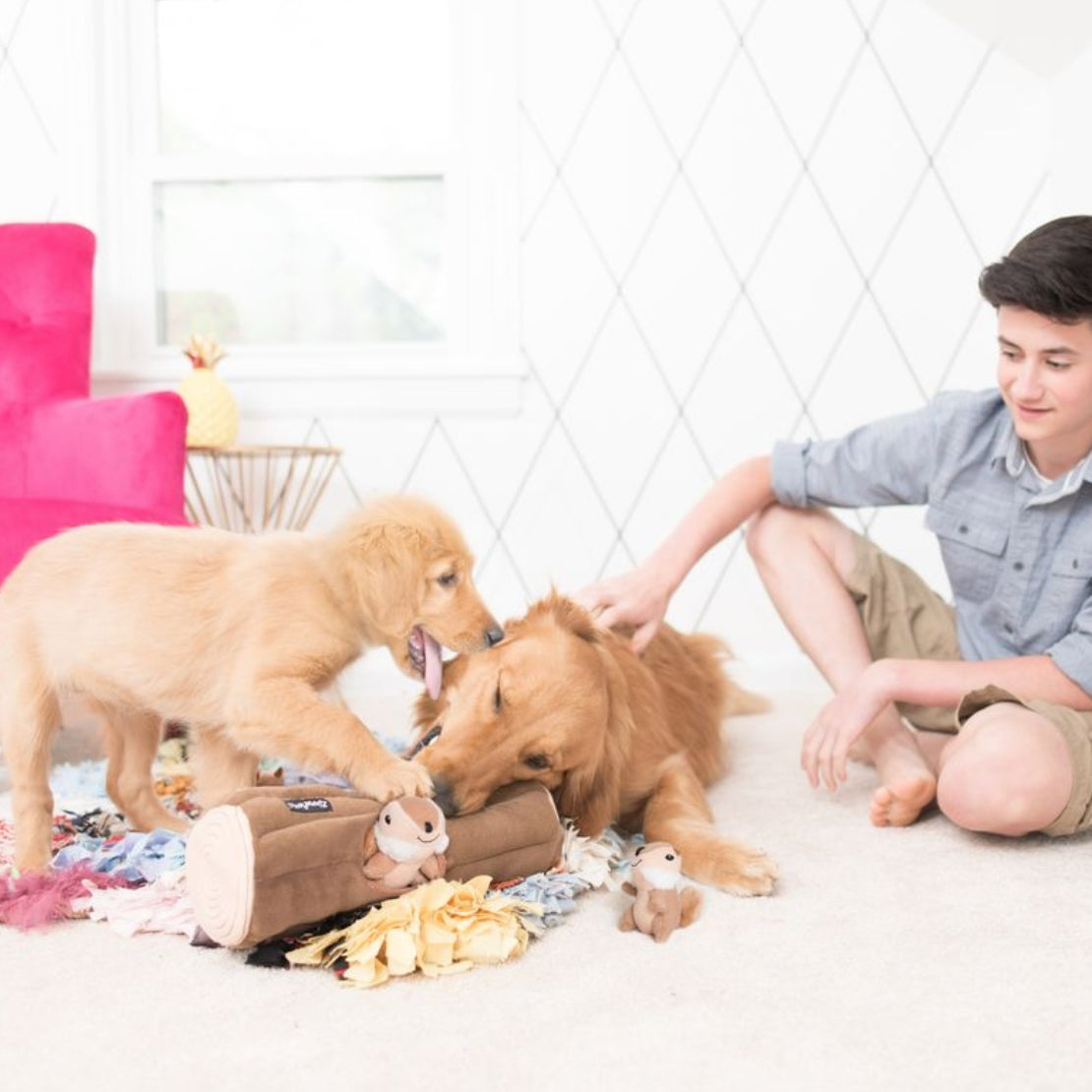 A young man sits on a white carpet in a bright room, petting two golden retriever puppies playing with a small plush toy and toys on the floor. A bright pink tufted sofa is visible in the background on the left.
