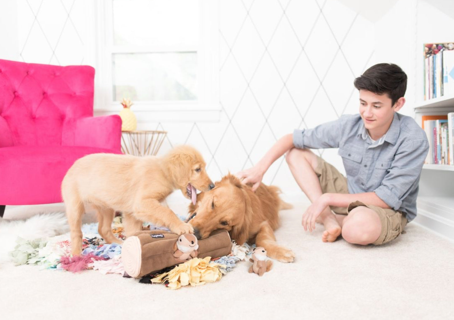 A young man sits on a white carpet in a bright room, petting two golden retriever puppies playing with a small plush toy and toys on the floor. A bright pink tufted sofa is visible in the background on the left.