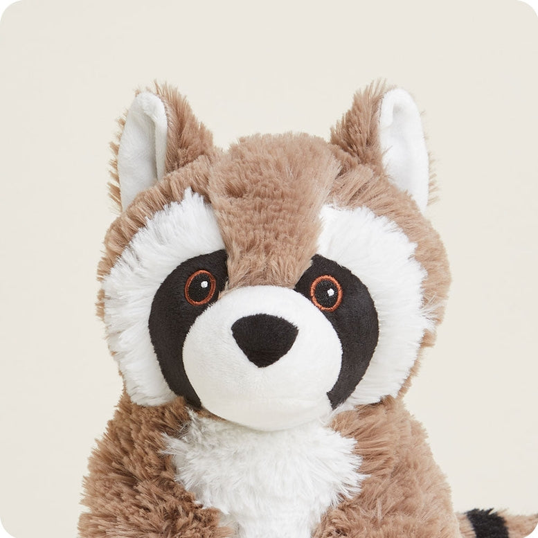 A close-up portrait of the plush Raccoon by Warmies, showcasing its detailed brown and white fuzzy texture, black eye patches, and pointed ears.