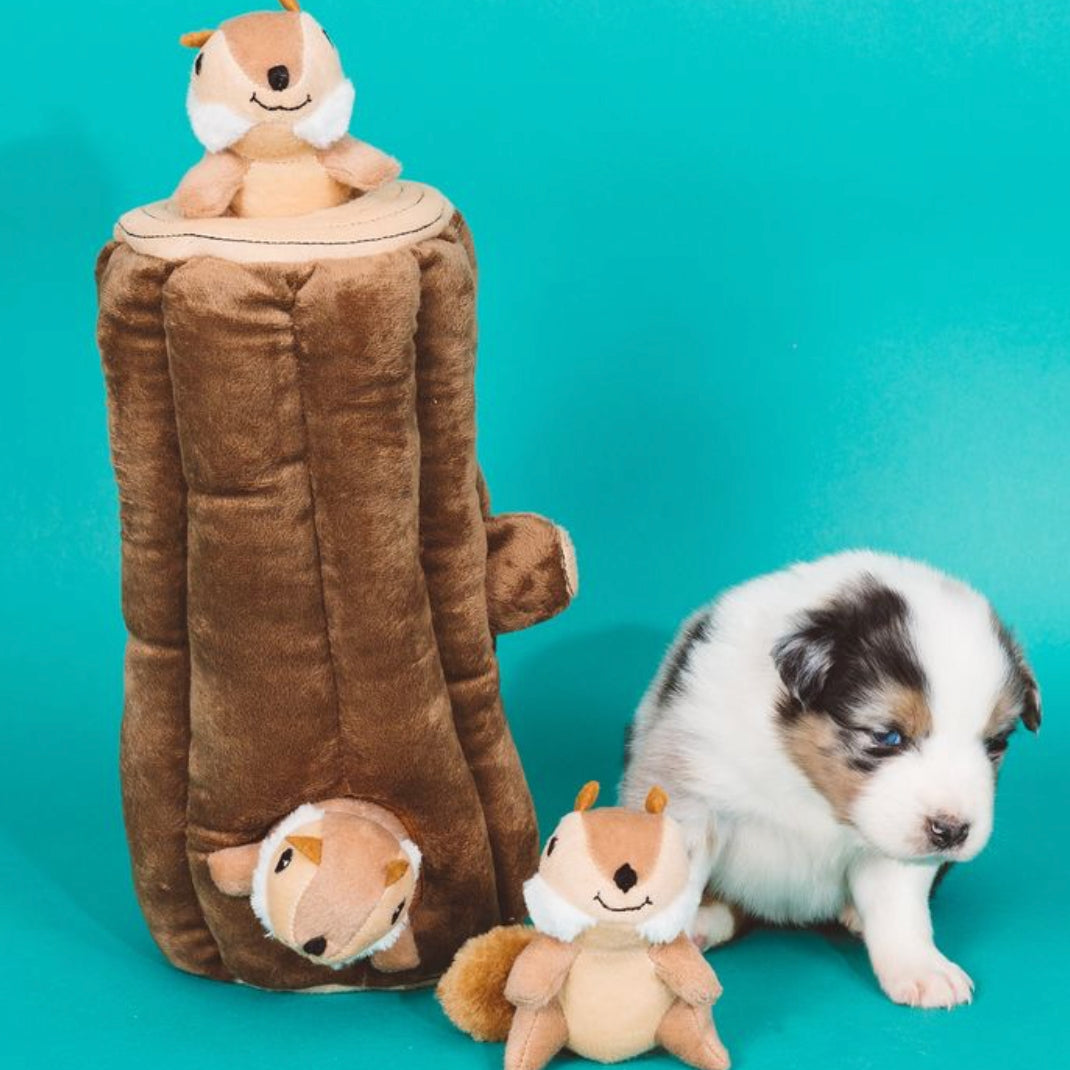 A brown plush dog toy shaped like a tree stump with squirrel faces, shown with a small puppy and two plush squirrels on a bright turquoise background.