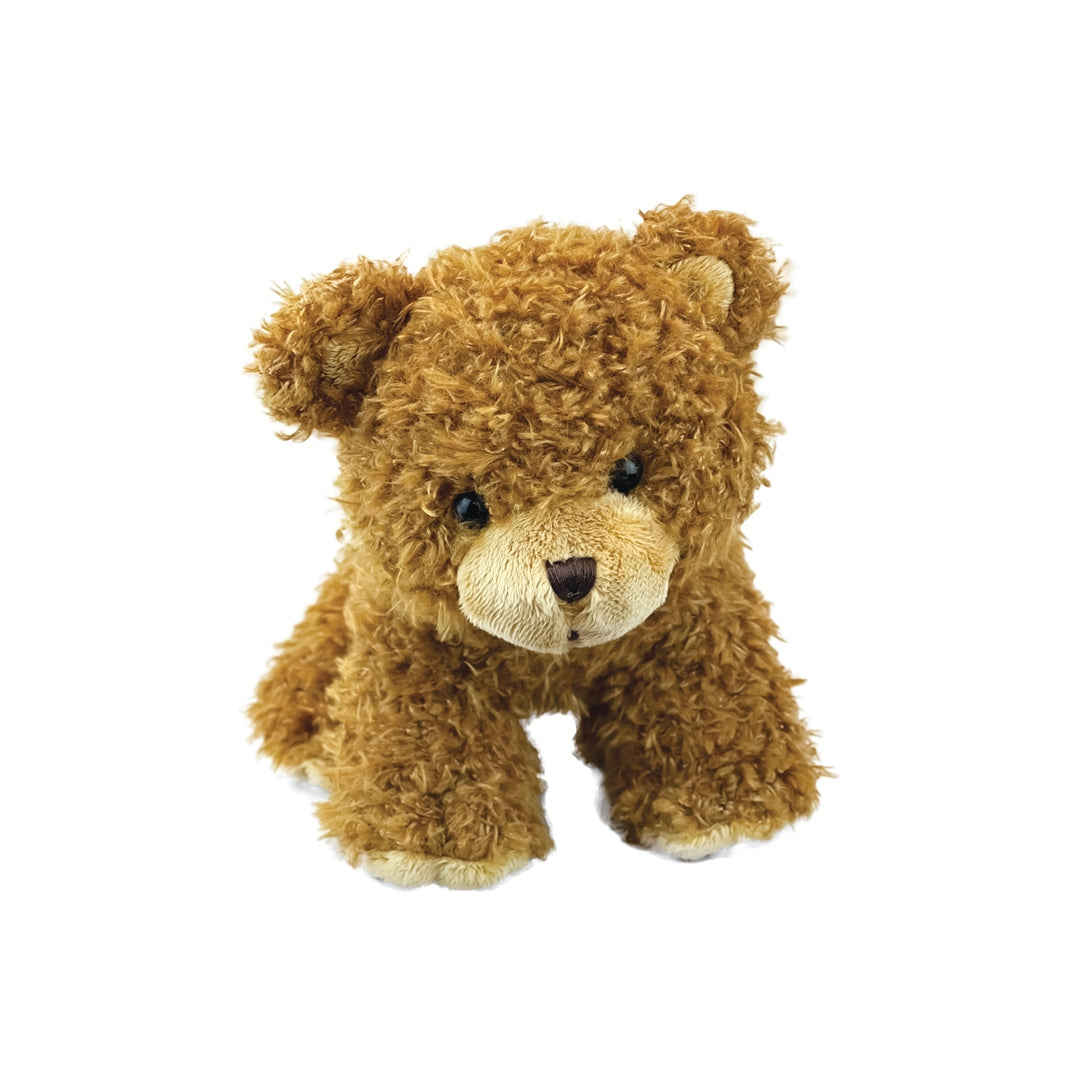 A small curly brown teddy bear plush toy with a cream-colored snout and paws, sitting against a solid white background.