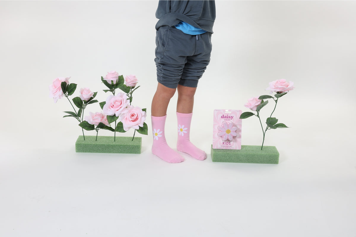 Person wearing pink socks with floral patterns standing between two small plants on a white background