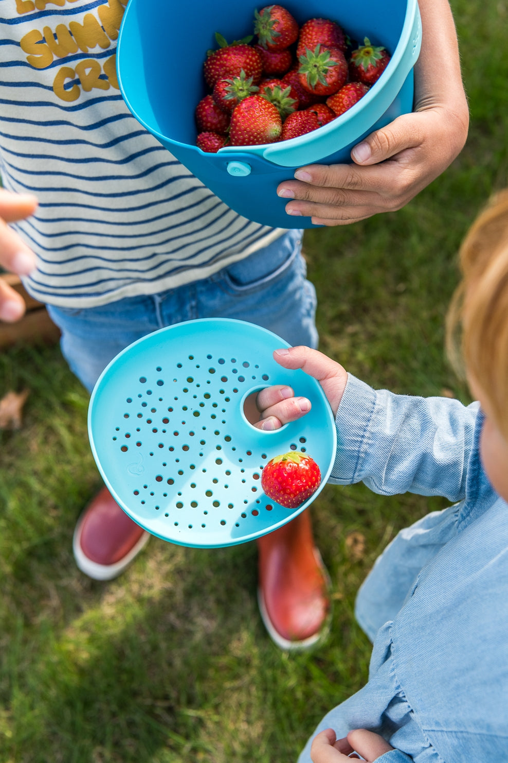 Two people holding blue colanders filled with strawberries in a grassy area.