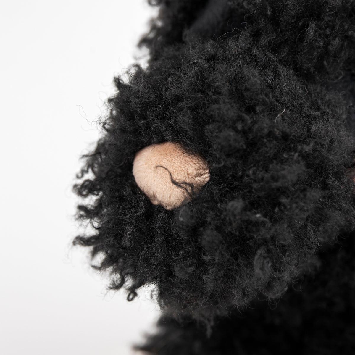 Close-up of a black pom-pom with a beige center on a white background
