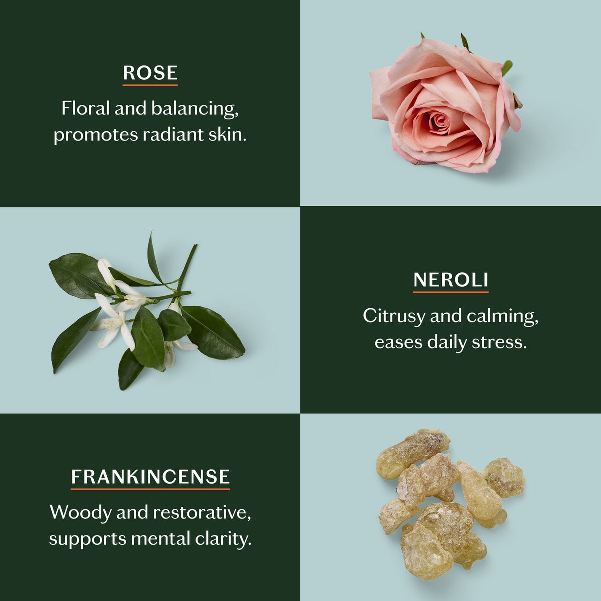 Four square grid with images of a rose, frankincense resin, and neroli flowers on a light blue background.
