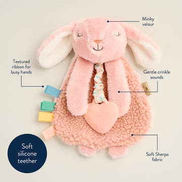 Pink plush toy with features labeled on a white background