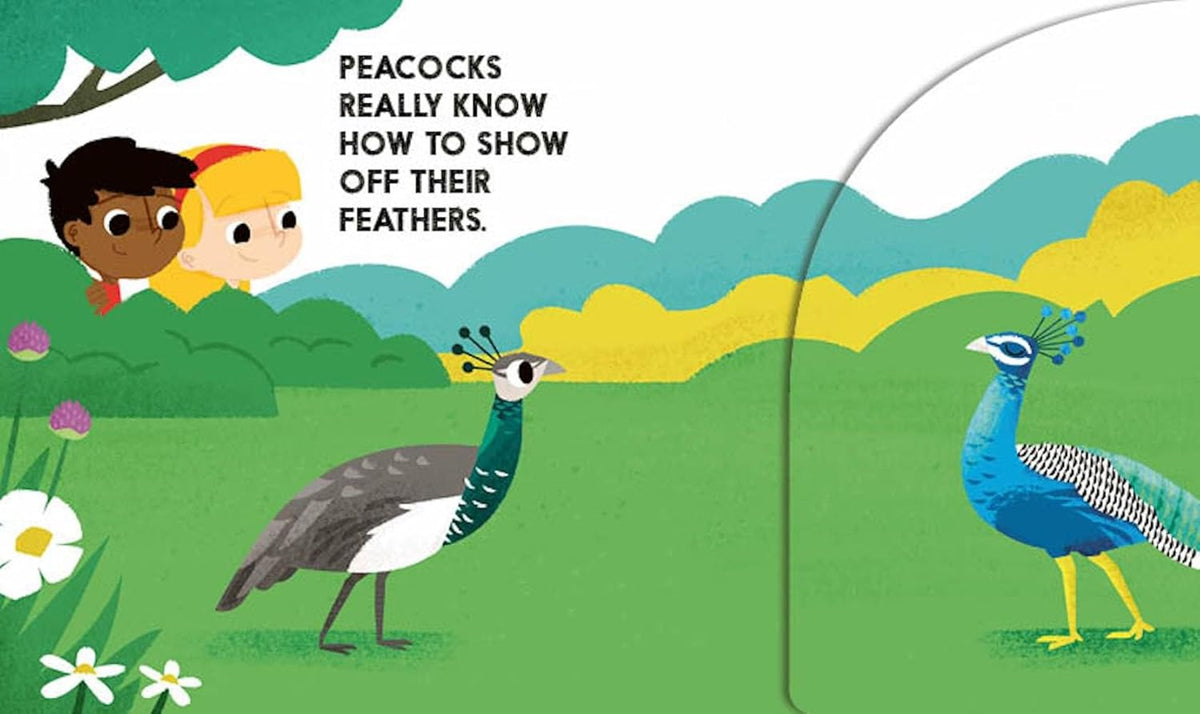 Illustration of two children watching peacocks in a garden setting