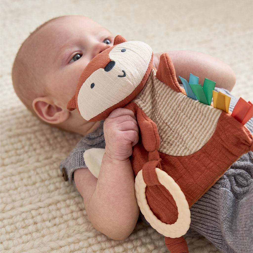 Baby holding a soft toy with a neutral background