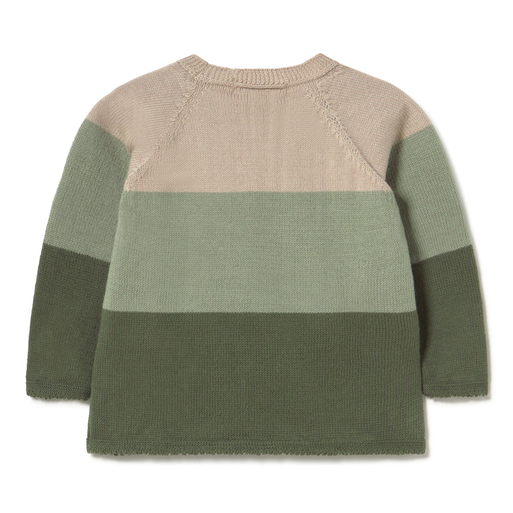 A long-sleeve knit sweater with horizontal color-blocked stripes in beige, sage green, and olive green, shown from the back on a white background.