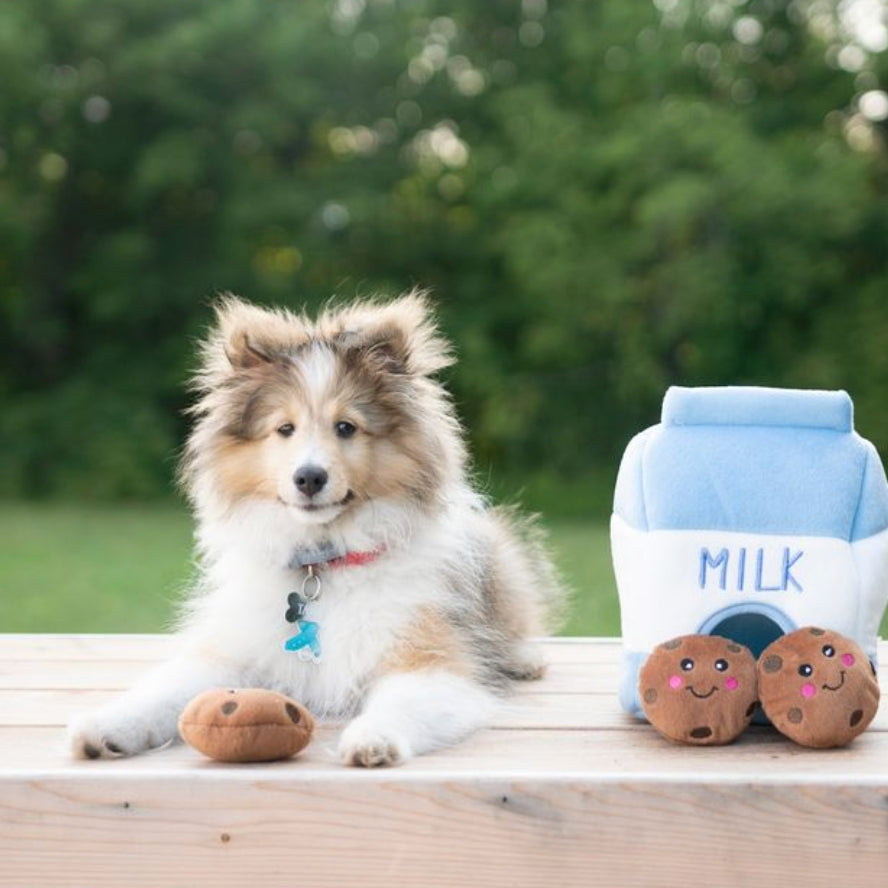 A fluffy dog sits on a wooden table outdoors next to a plush toy shaped like a milk carton labeled 'MILK' with two plush chocolate cookies.