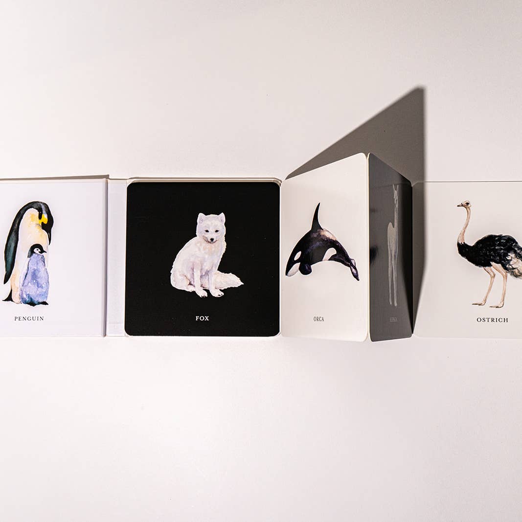 A set of illustrated animal cards or book pages laid out on a white surface, showing penguins, a white fox on a black panel, an orca, and an ostrich.