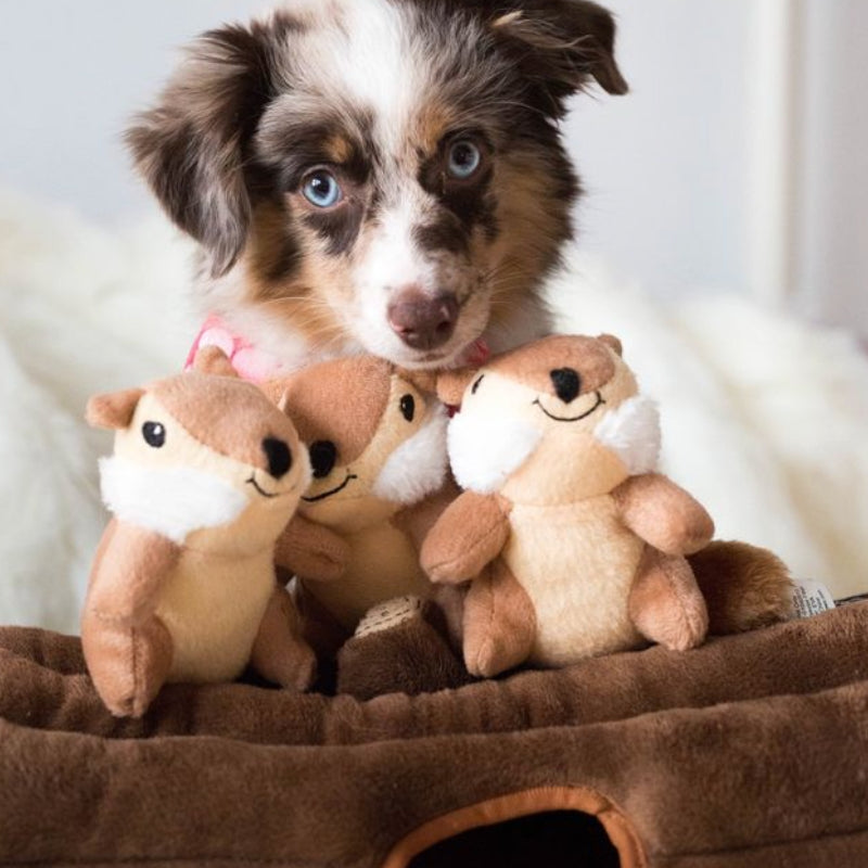 A small brown and white puppy sits behind three plush squirrel toys inside a brown plush pet bed on a white fluffy surface.