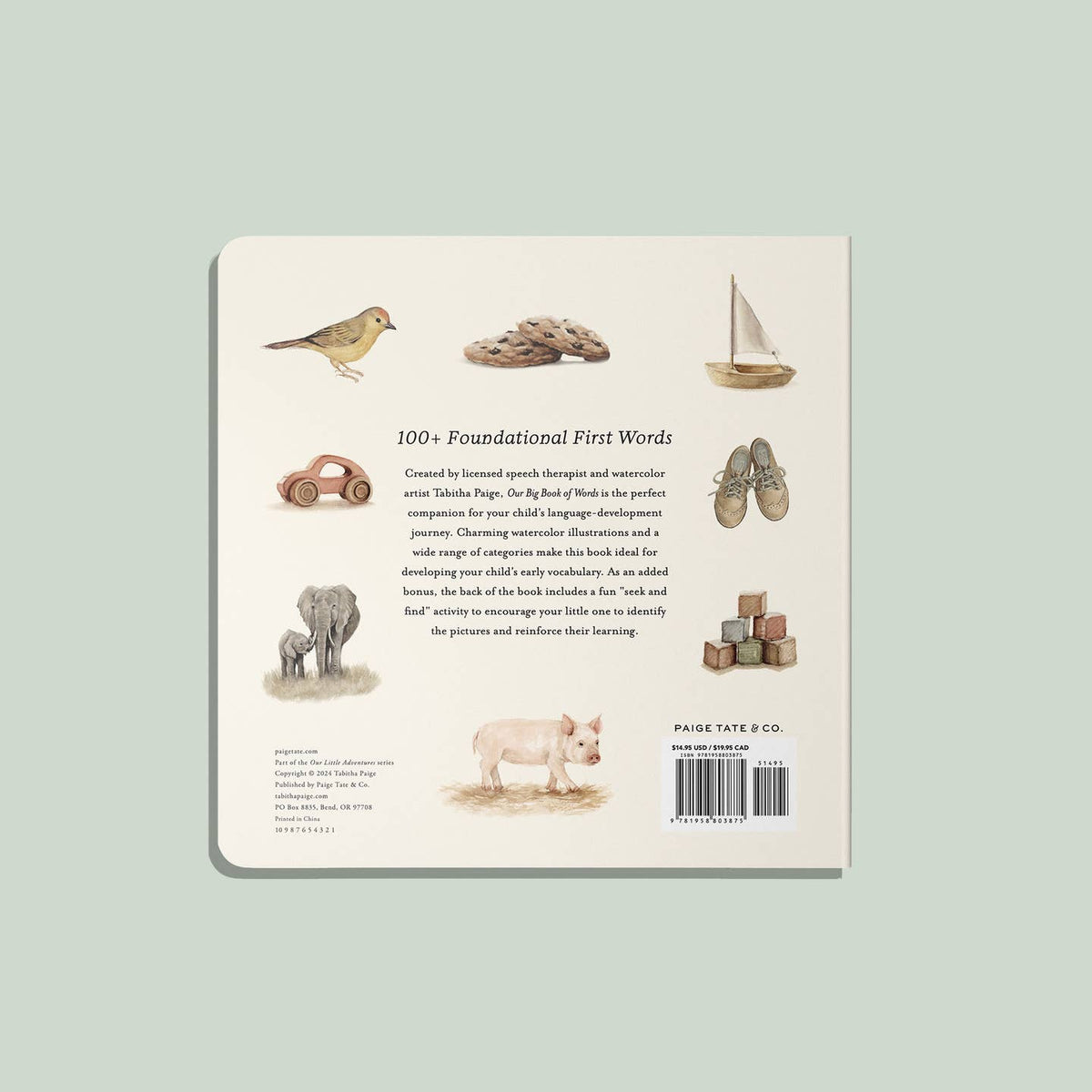 Back cover of a book with illustrations of animals and objects on a light green background
