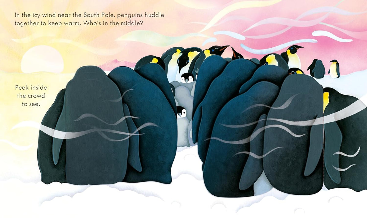 Illustration of penguins huddling together near the South Pole with text.