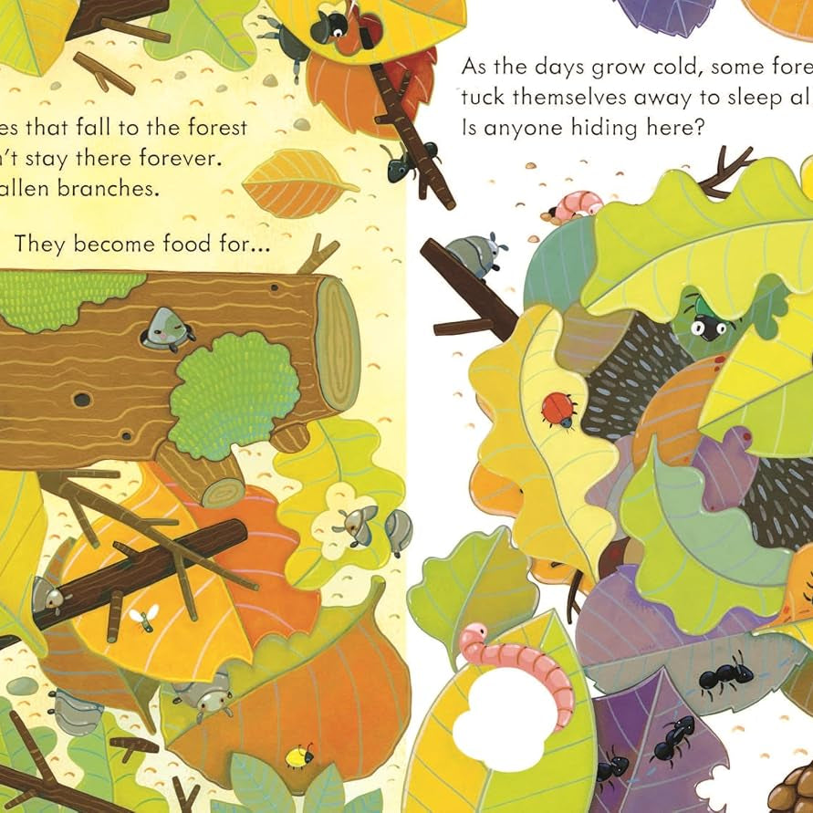 Illustrated page from a children's book about forest animals and nature.