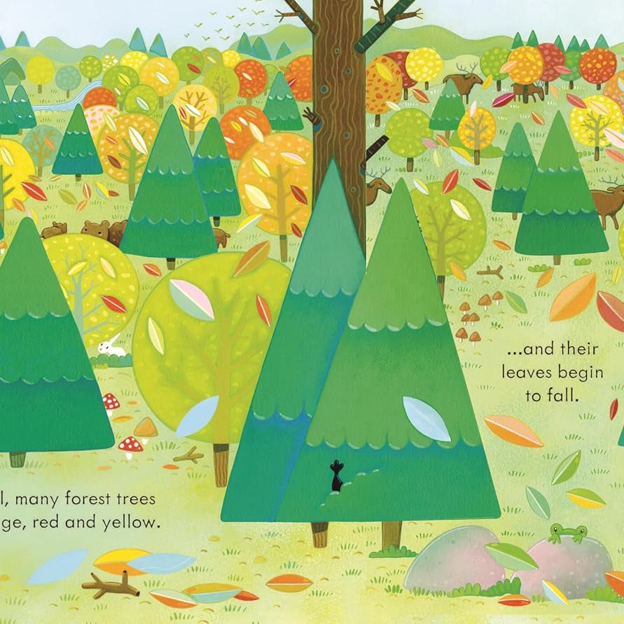 Illustration of a forest scene with trees changing colors in autumn.