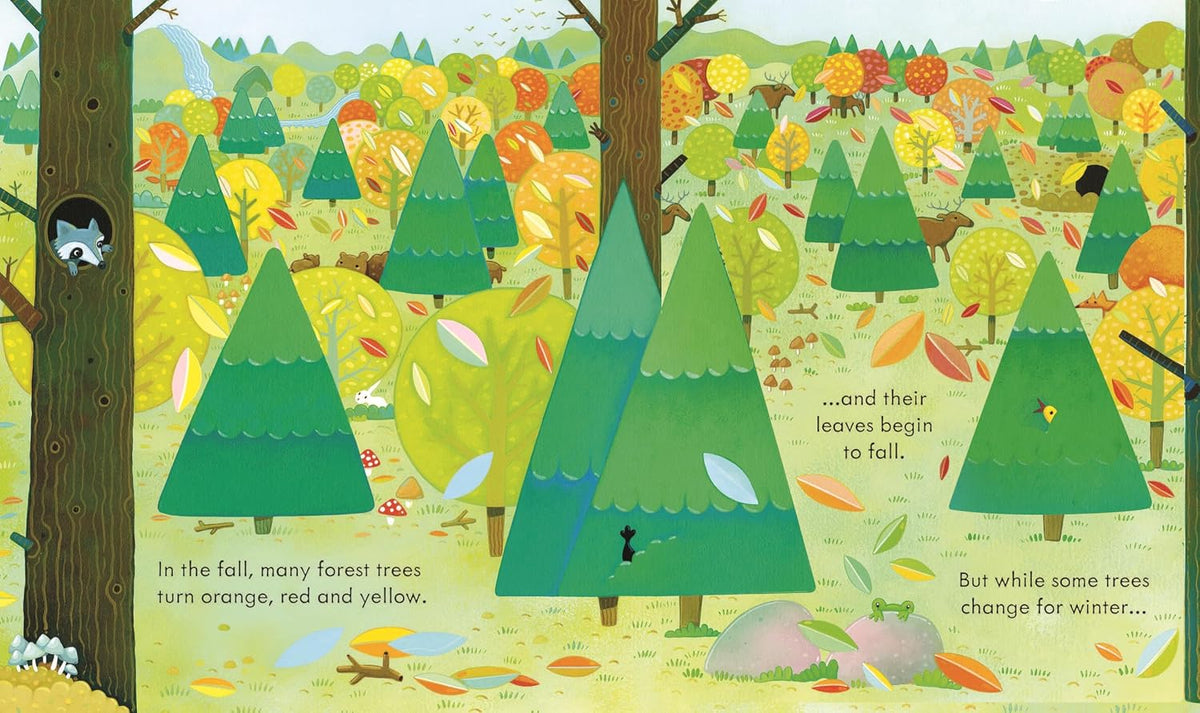 Illustration of a forest scene with trees changing colors in autumn.