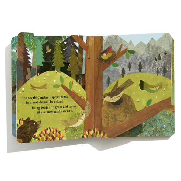 Children's book with forest-themed illustrations and text about an ovenbird.