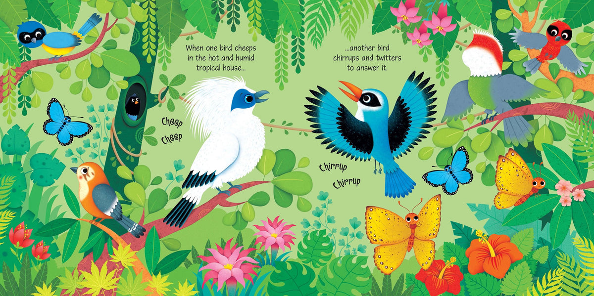 Colorful illustration of birds and butterflies in a tropical setting with text.