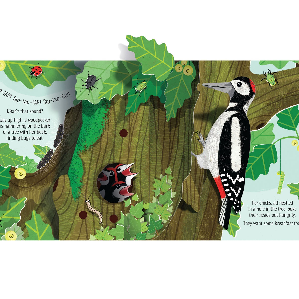 Illustration of a woodpecker on a tree trunk with leaves and insects, part of a larger scene.