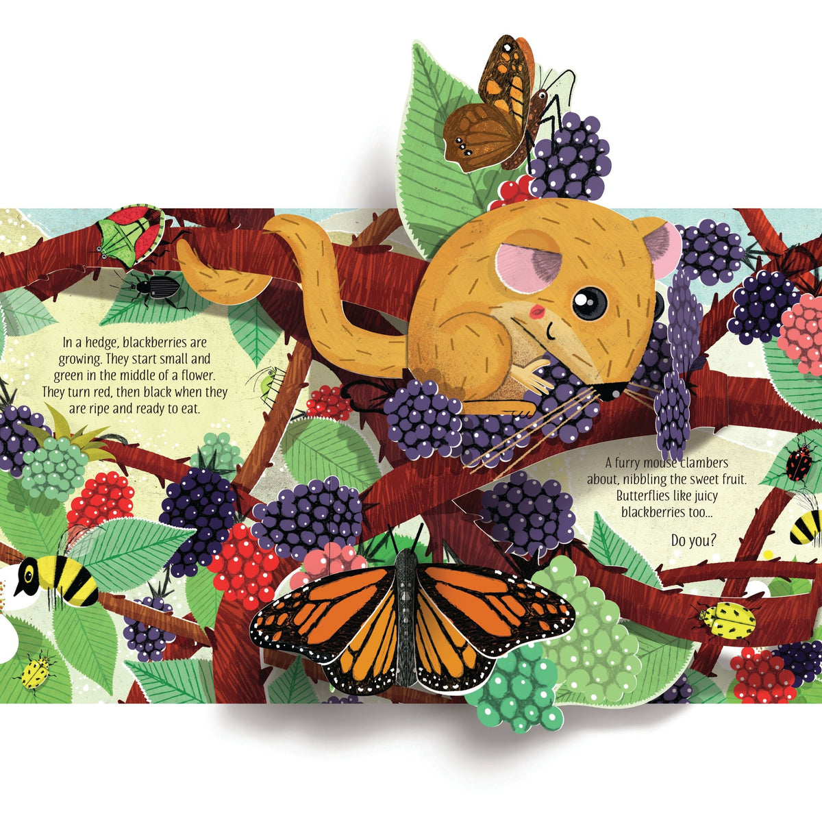 Illustration of a mouse among berries and butterflies on a branch with text underneath.