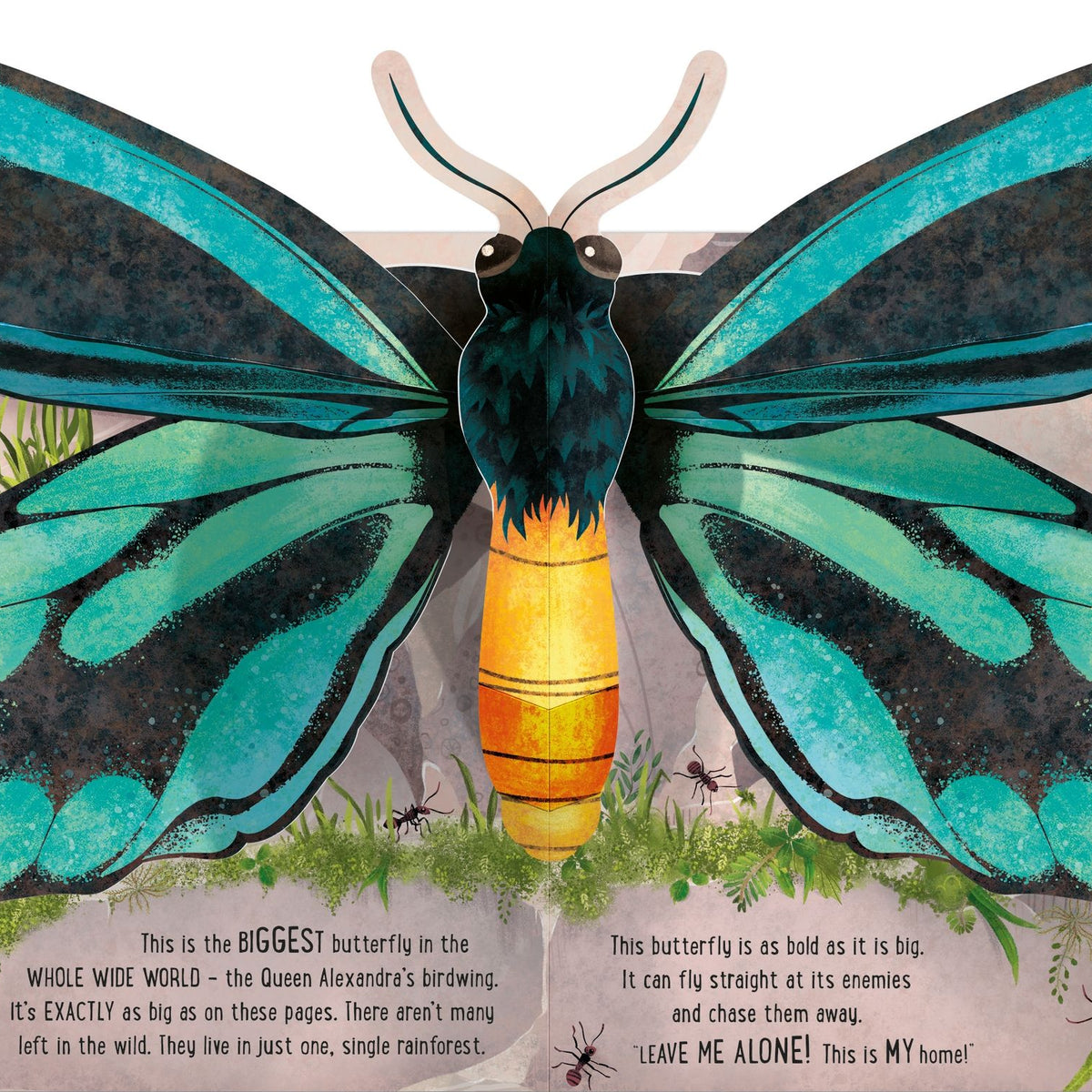Illustration of a butterfly with detailed wings and body on a grassy background
