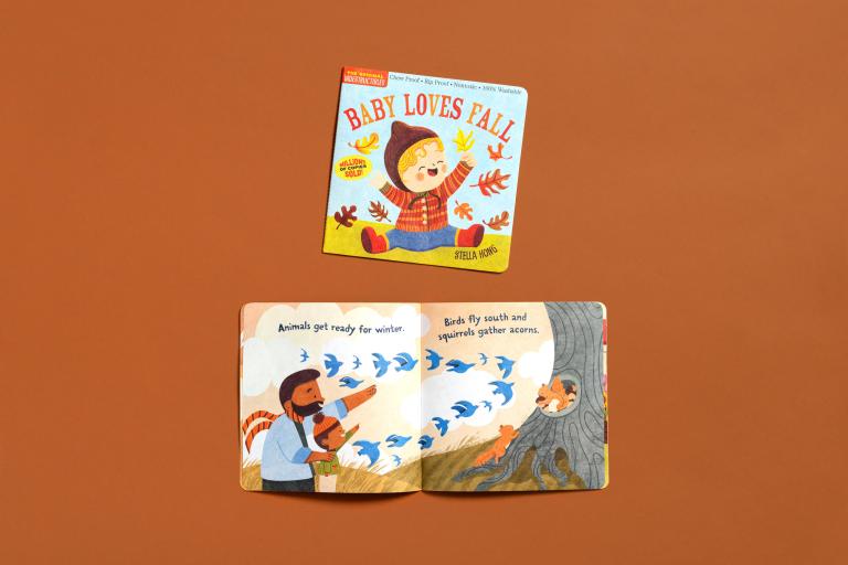 Children's book titled 'Baby Loves Fall' on a brown background