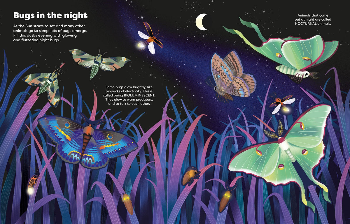 Illustration of bugs in a night scene with text about nocturnal animals.