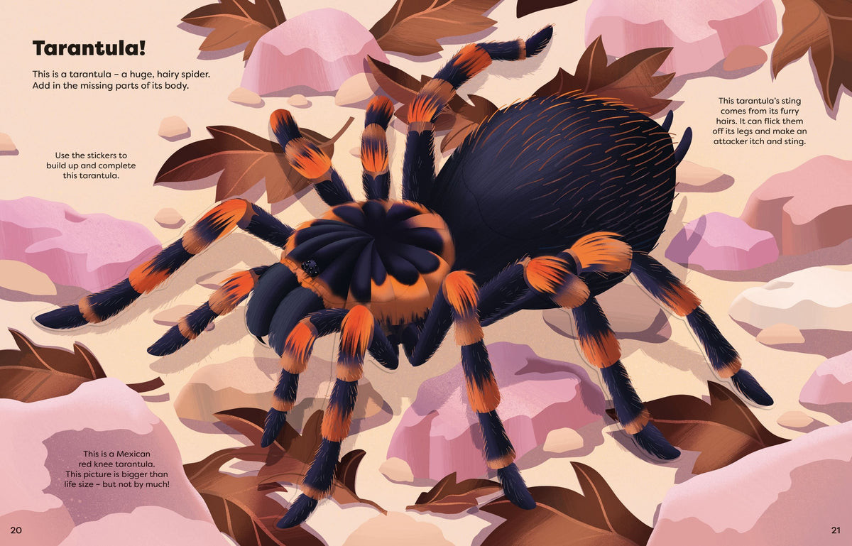 Illustration of a tarantula on a rocky surface with educational text about the spider.