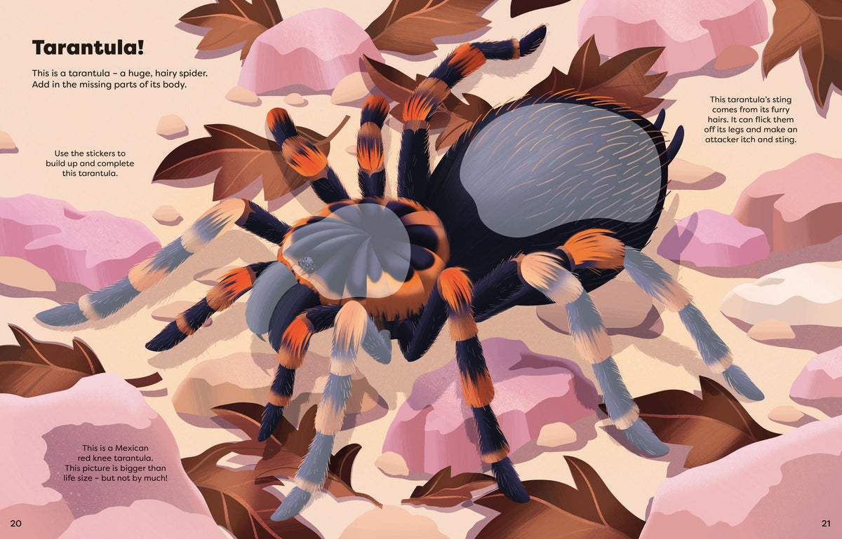 Illustration of a spider on a pink background