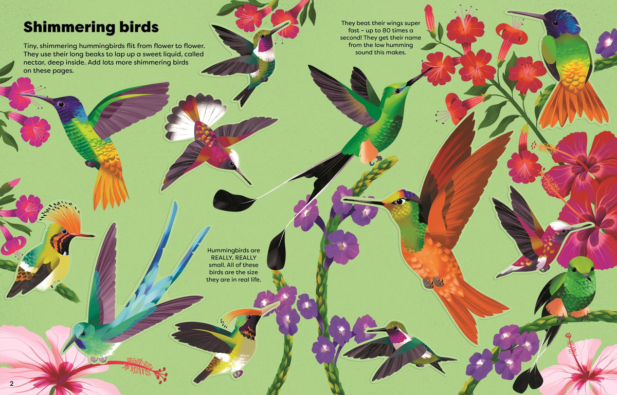 A colorful illustrated page titled 'Shimmering birds' showing multiple hummingbirds among bright flowers on a light green background, with small text blocks throughout.