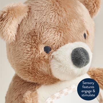 Close-up of a teddy bear with text 'Sensory features engage & stimulate' on a light background