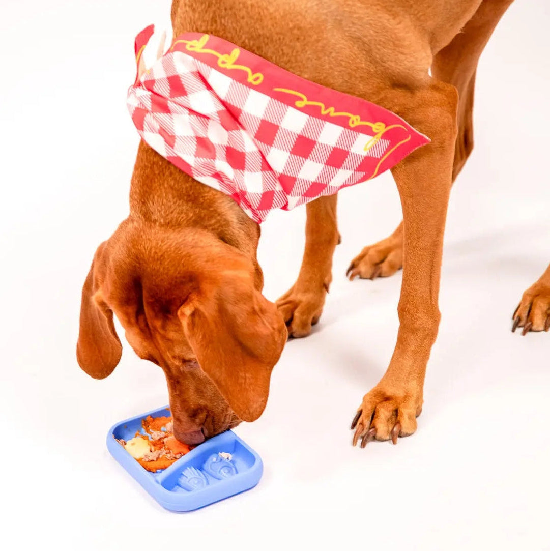 A brown dog wearing a red and white checkered bandana with yellow trim eats from a blue multi-compartment tray on a white background.