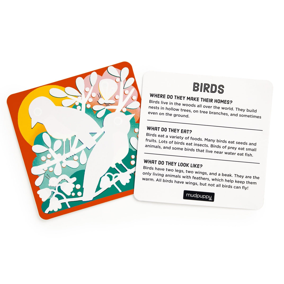 A water-reveal activity board featuring a silhouetted white bird design against a red background with pink and white leaves and floral details, accompanied by an informational card titled "Birds" with questions and facts about where they live, what they eat, and what they look like.